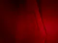 Чанти Patrizia Pepe valentino, снимка 10