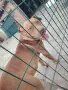 Чистокръвни Питбулчета, снимка 7