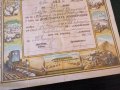 2 дяла за 200 лв. | Всестранна кооп-я "Взаимност" | 1951г., снимка 3
