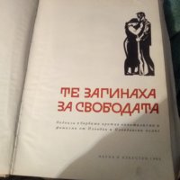 Историческа книга те загинаха за свободата 1904-1945 година, снимка 1 - Специализирана литература - 39971045