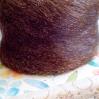 Шапка от естествен косъм нутрия, снимка 4 - Шапки - 30650603