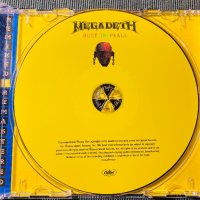 Pantera,Metallica,Megadeth,Iron Maiden , снимка 10 - CD дискове - 42828323