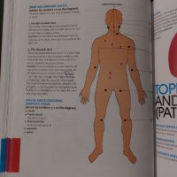 An Introductory Guide to Anatomy & Physiology, снимка 5 - Специализирана литература - 35404101