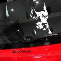 Доберман 3D стикер лепенка за автомобил кола, снимка 1 - Аксесоари и консумативи - 29651140