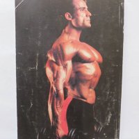 Книга Мега мускули за вас - Еню Рангелов 1993 г., снимка 3 - Други - 34278131