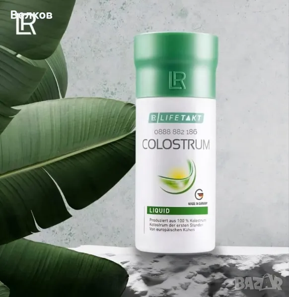 Течна коластра за деца и възрастни от Германия 🇩🇪 , снимка 1