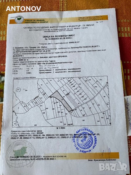 Продавам гора в с. Бояджик, обл. Ямбол, снимка 1