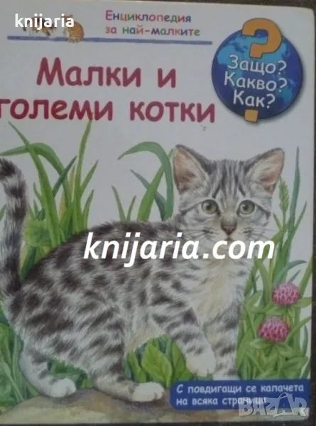 Енциклопедия за най-малките: Малки и големи котки, снимка 1