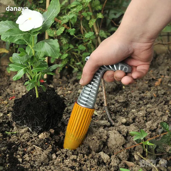 1648 Градинско садило, снимка 1