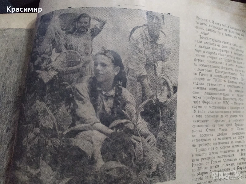 Знаме на комунизма.1965 г., снимка 1