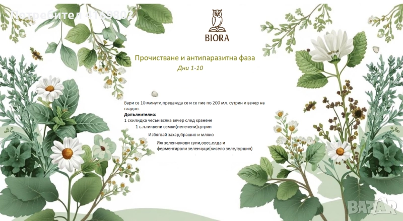 Прочистване и антипаразитна терапия на стомашно-чревния тракт , снимка 1