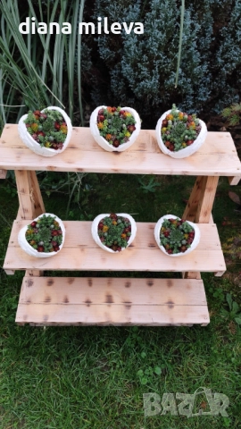 Гипсокерамични крила с формата на сърце и с живи студоустойчиви сукуленти!, снимка 10 - Декорация за дома - 52435989
