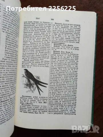 Български библейски речник, снимка 4 - Специализирана литература - 50206884