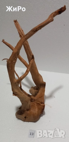 Корен от Азалия /декорация/ 13, снимка 4 - Други - 53401544