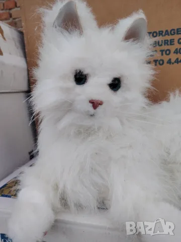 Котка плюш фюр реал
