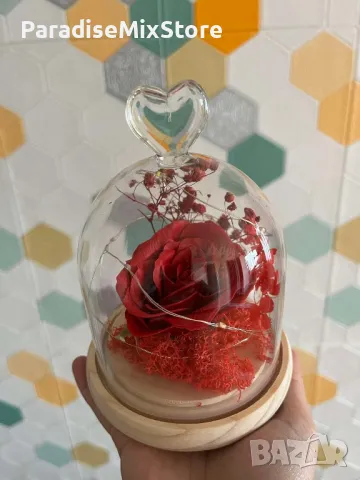 Роза в стъкленица подходяща за всяка дама, снимка 4 - Подаръци за жени - 49510460