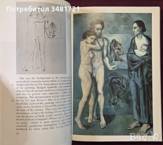 Пикасо - живот и творби / Picasso, снимка 10 - Изкуство, музика, кино и фотография - 55964107