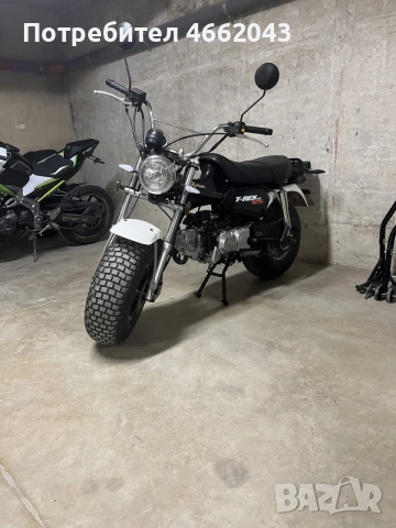 Skyteam t-Rex 125