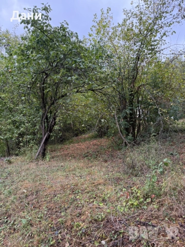 Продава Вила в с.Луково обл.Софийска , снимка 15 - Къщи - 44919734