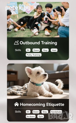 Смарт нашийник с повод за обучение на кучета Petfessor CL-300, снимка 7 - За кучета - 52656018
