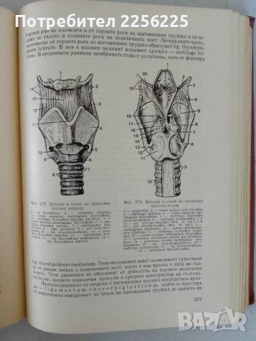 Анатомия на човека, снимка 10 - Специализирана литература - 47319367