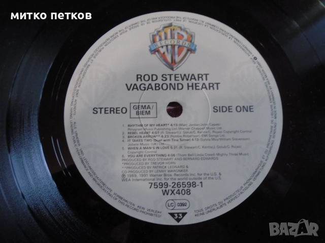 плочи Rod Stewart, снимка 9 - Грамофонни плочи - 52456383