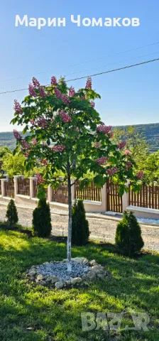 Парцел за продажба 1080 кв.м. Арбанашко бърдо , снимка 8 - Парцели - 50224660