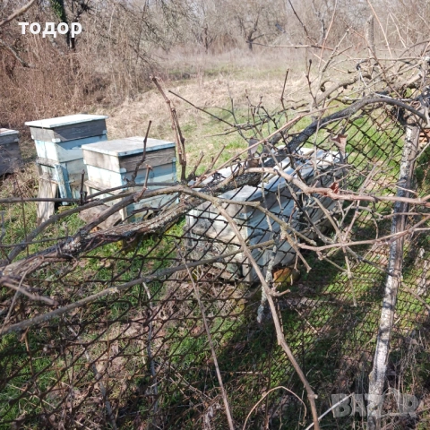 Кошери, снимка 2 - Други - 53656058