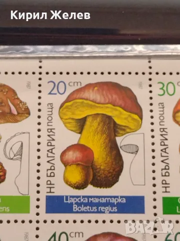 Пощенски марки чиста комплектна серия ГЪБИ поща НРБЪЛГАРИЯ за КОЛЕКЦИОНЕРИ 46564, снимка 3 - Филателия - 47322496