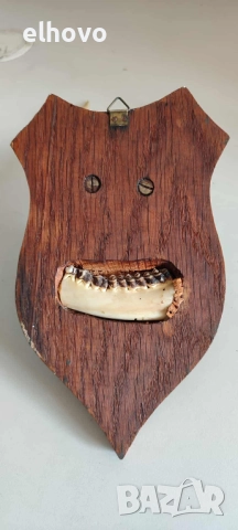 Еленови рога с череп#2, снимка 4 - Антикварни и старинни предмети - 52036006