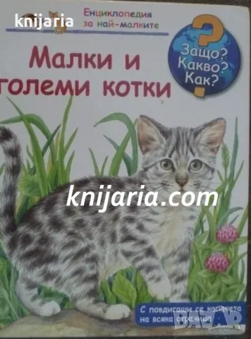 Енциклопедия за най-малките: Малки и големи котки