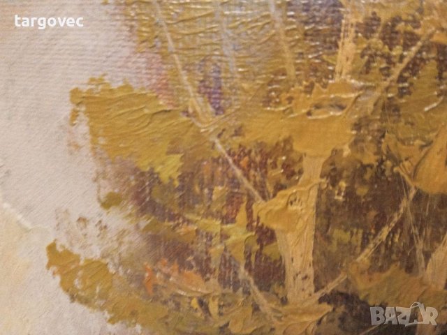 Прекрасна маслена картина на платно, снимка 3 - Антикварни и старинни предмети - 40307465