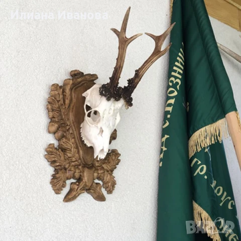 Поставки за ловни трофеи, снимка 11 - Картини - 12206704