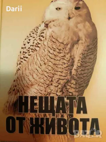 Нещата от живота