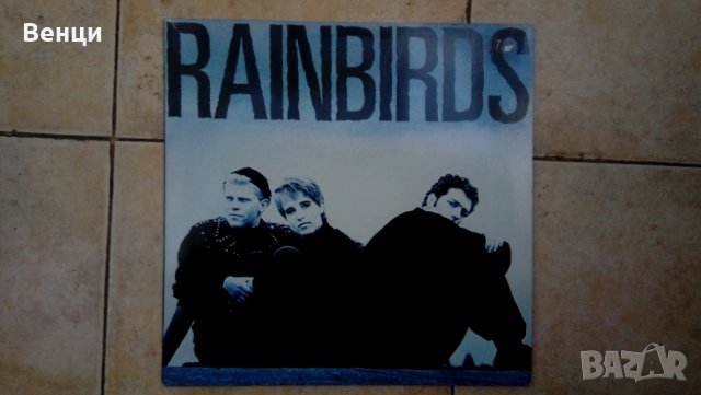 Грамофонна плоча на  RAINBIRDS   LP., снимка 3 - Грамофонни плочи - 35319411
