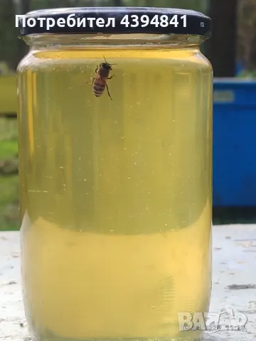 Акациев пчелен мед, снимка 2 - Пчелни продукти - 49270712