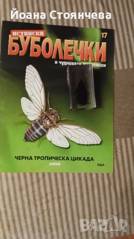 продам 1 бр 