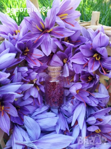 Български шафран 1-во качество, снимка 7 - Хранителни добавки - 37502196