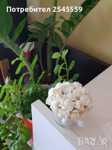 Сватбени подаръци за гости, снимка 5 - Подаръци за сватба - 36717957