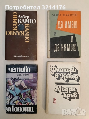 Да имаш и да нямаш - Ърнест Хемингуей