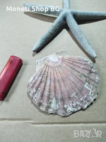 Океански дарове