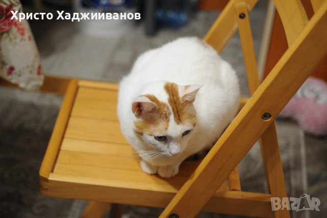 Обектив Никон Nikon Nikkor AI 35-70, снимка 8 - Обективи и филтри - 52516343