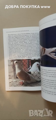 Български гълъби и кокошки, снимка 6 - Енциклопедии, справочници - 42222208