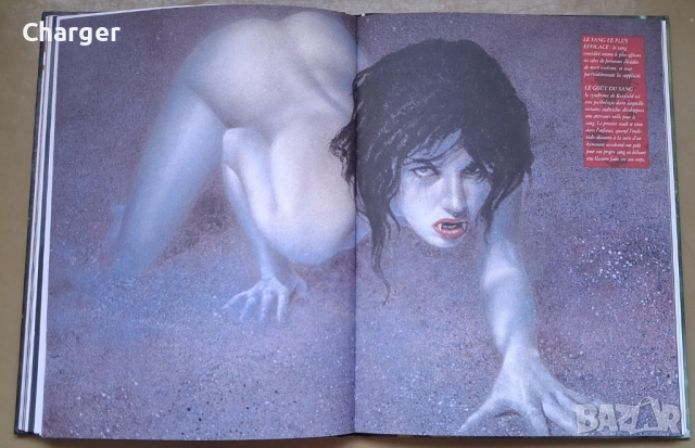 Комикс - Вампирска енциклопедия, снимка 7 - Списания и комикси - 52405349