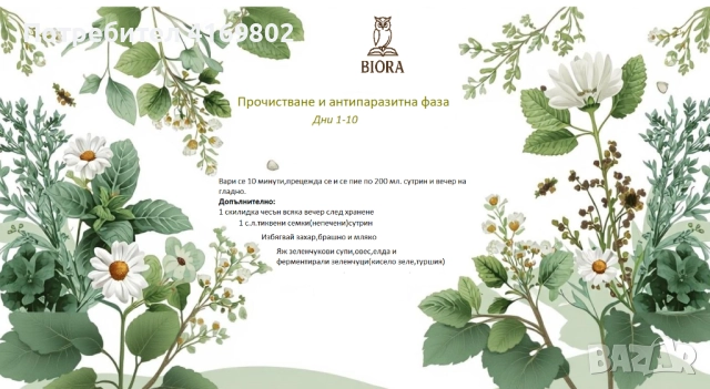 Прочистване и антипаразитна терапия на стомашно-чревния тракт , снимка 1