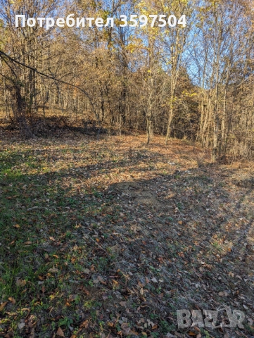 Парцел в Априлци 1000 м2, снимка 2 - Парцели - 52396292