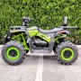 Бензиново ATV 200 кубика MaxMotors Coleman Powersports, снимка 2
