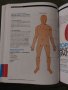 An Introductory Guide to Anatomy & Physiology, снимка 5