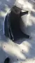 Заден капак за TESLA MODEL 3 HIGHLAND, снимка 2