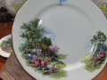 Английски порцелан чинии , снимка 8